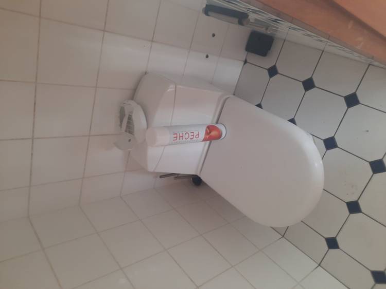 Resource réemploi Wc sur pied