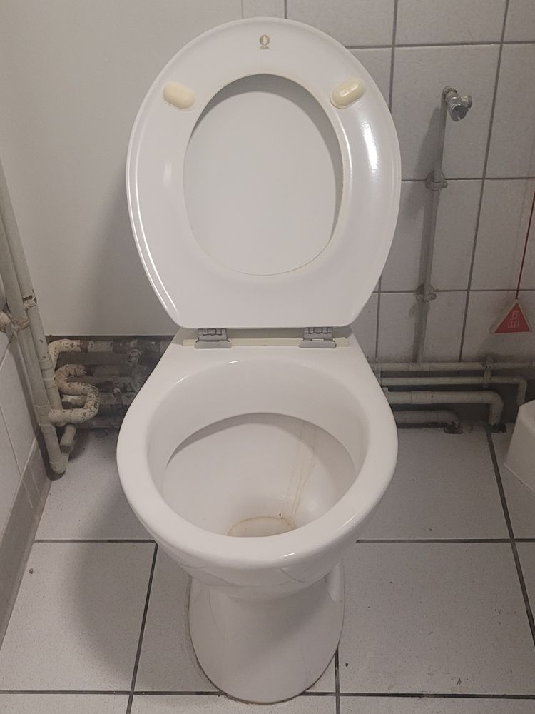 Resource réemploi Wc sur pied