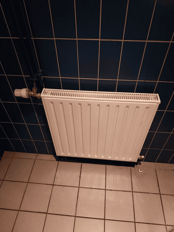 Resource réemploi Radiateur à eau acier type DE'LONGHI EASY - diverses dimensions