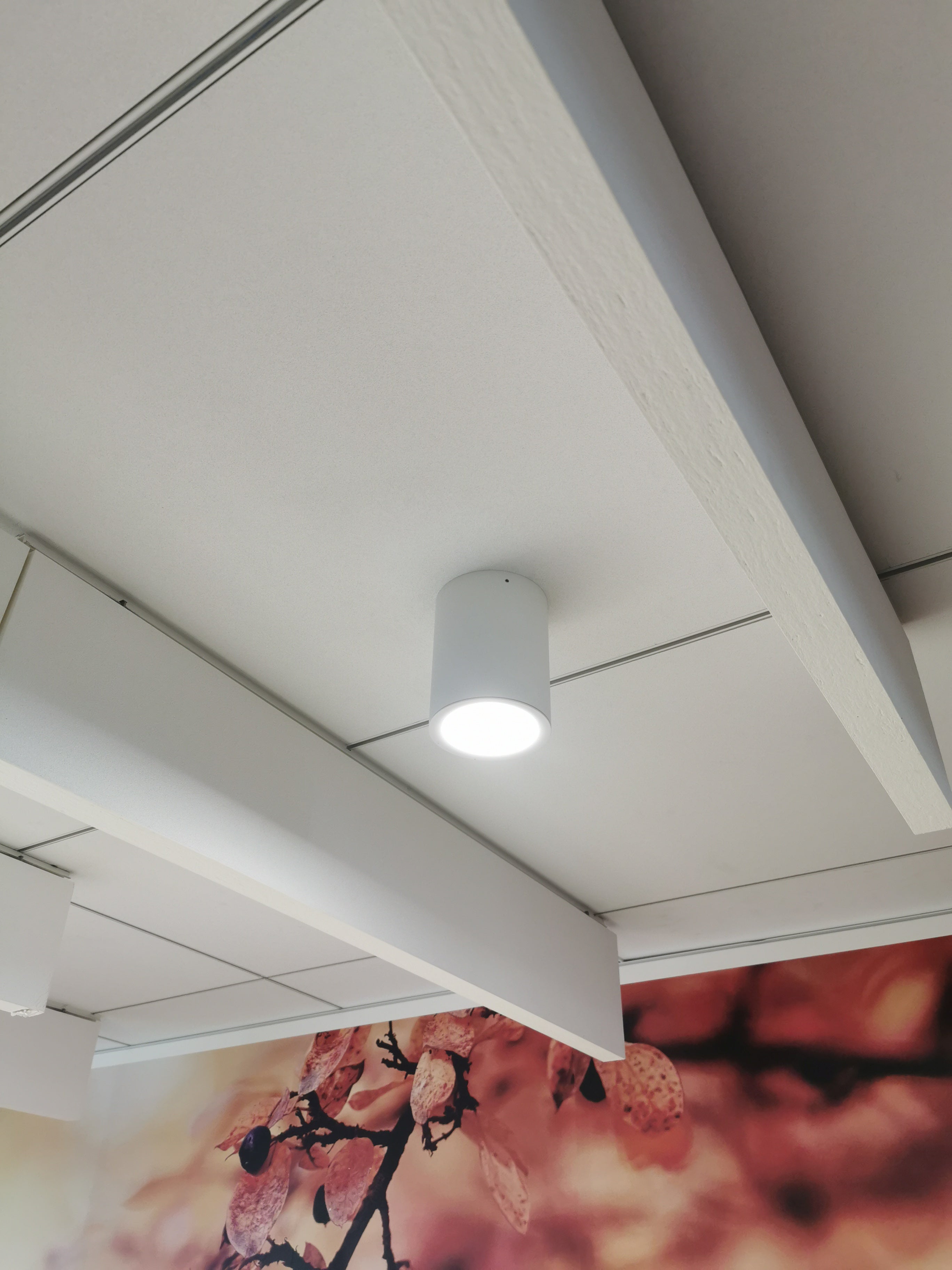 Plafonnier LITED Downlight LED