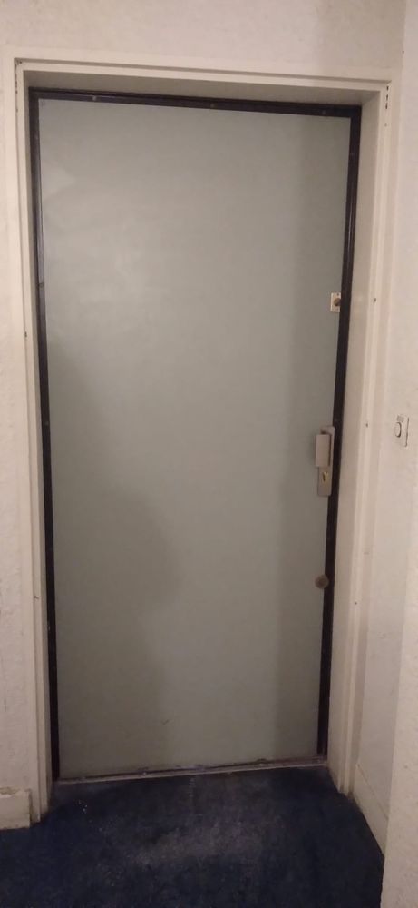 Lot de 30 vantaux de portes palières bois