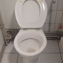Wc sur pied
