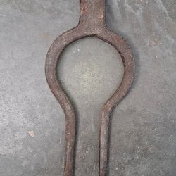 Fourche à betteraves