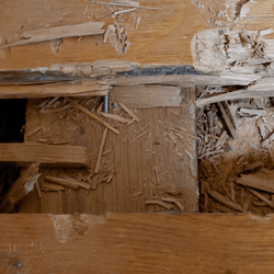 Resource réemploi Plancher bois