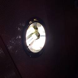 downlights fluocompactes