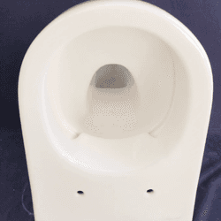 WC suspendu reconditionné Jacob Delafon ODEON RIVE GAUCHE