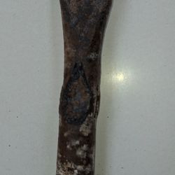 Tête de marteau