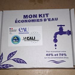 Régulateur de débit