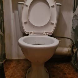 Wc sur pied