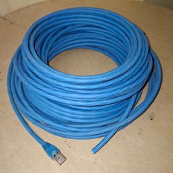 Cable réseau