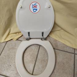 Abattant pour WC Sanibroyeur