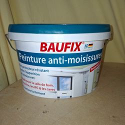 Peinture murale, Anti moisissure