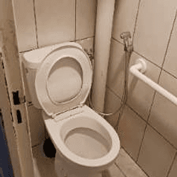 Resource réemploi Wc sur pied, WC surélevé (réservoir & cuvette)